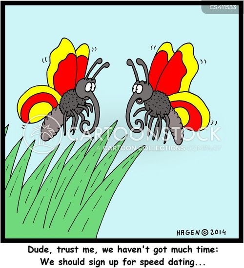 speed dating humour